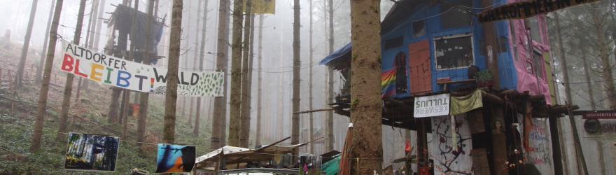 HARO SUR LES ÉCOLOS