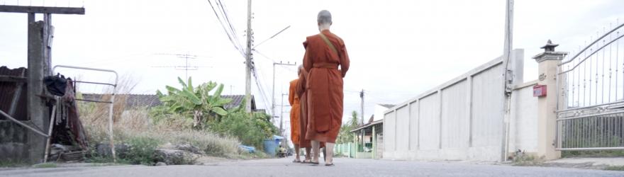 Femmes moines : la quête d’égalité