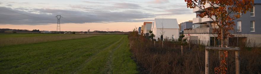 Après les betteraves, le béton