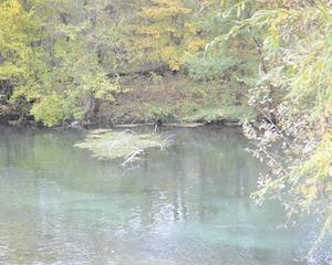 La réserve naturelle attend sa greffe de Rhin