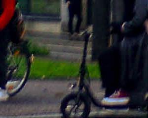 Sur la voie de la cohabitation