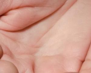 Élections municipales : la droite et l’extrême droite souhaitent un arrêté anti-mendicité à Strasbourg. De quoi parle-t-on ?