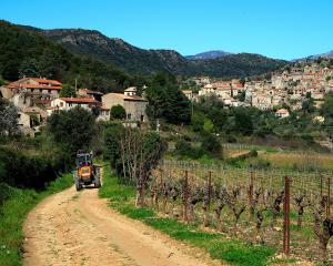 Pesticides dans les zones viticoles : « Personne n’a envie de polluer son propre environnement » 