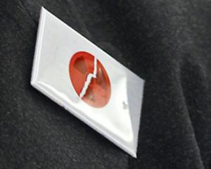 Les leçons de Fukushima