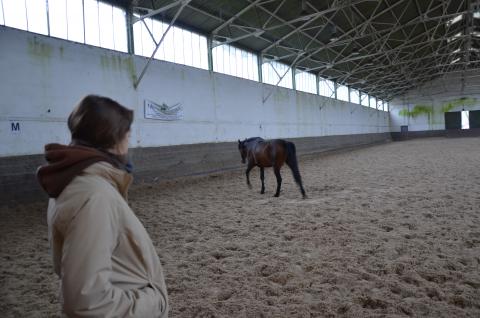 20150217-MF dsc_0047.jpg