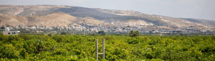 Vallée du Jourdain : les agriculteurs amers face à la raréfaction de l'eau