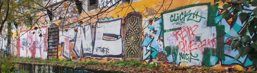 Street art et graff' : "Si quelqu'un nous recouvre, il saute"