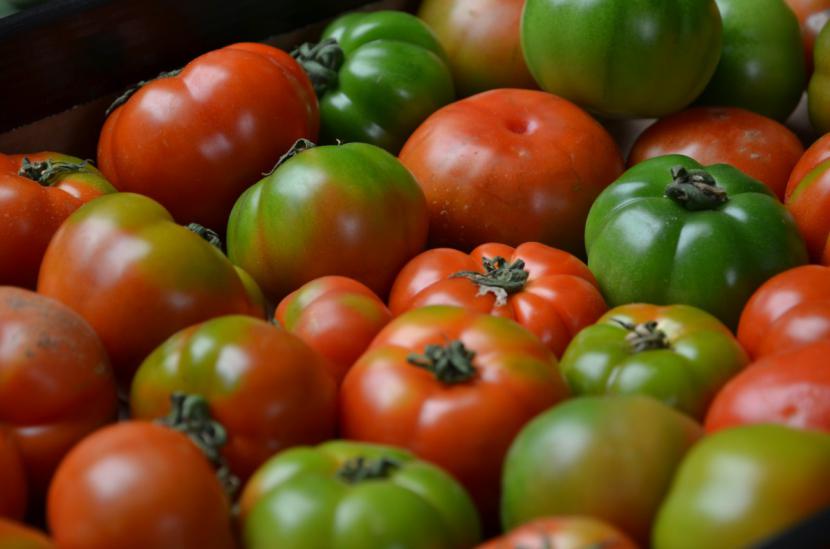 Qui a importé la tomate en France ?