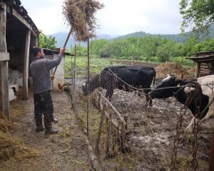À Argokhi, la jeunesse agricole tente de résister à l'exode rural
