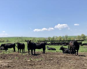 L’avènement de l’agro-industrie, au détriment de la paysannerie