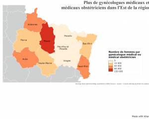 Gynécologie médicale : des inégalités d’accès dans la région Grand Est